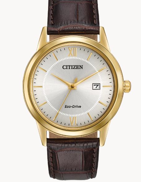 Men's Eco-Drive Gold-Tone Stainless Steel Case & Brown Leather Strap Watch by Citizen