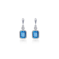 SS/PT 1.82cttw Simulated Diamond & Simulated Blue Topaz Earrings