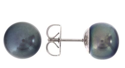 Sterling Silver 10.5mm Black Freshwater Pearl Earrings