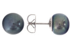 Sterling Silver 10.5mm Black Freshwater Pearl Earrings