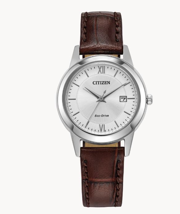 Classic Stainless Steel Case with Brown Leather Strap Watch