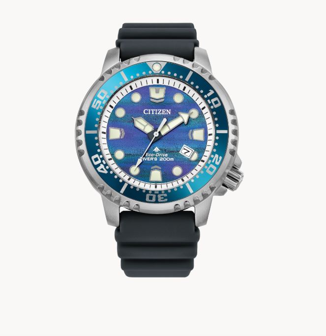 Promaster Dive Watch in Aquatic Shades by Citizen