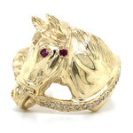 Estate Equestrian Ring