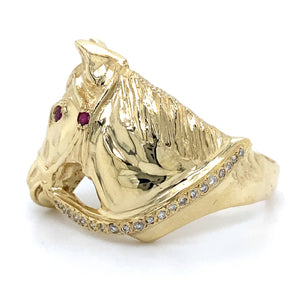 Estate Equestrian Ring