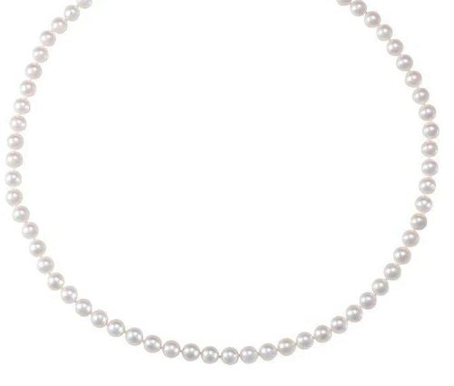 14K Yellow Gold 6-6.5mm Akoya Pearl Necklace 18"