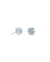 GF/Silver Earring