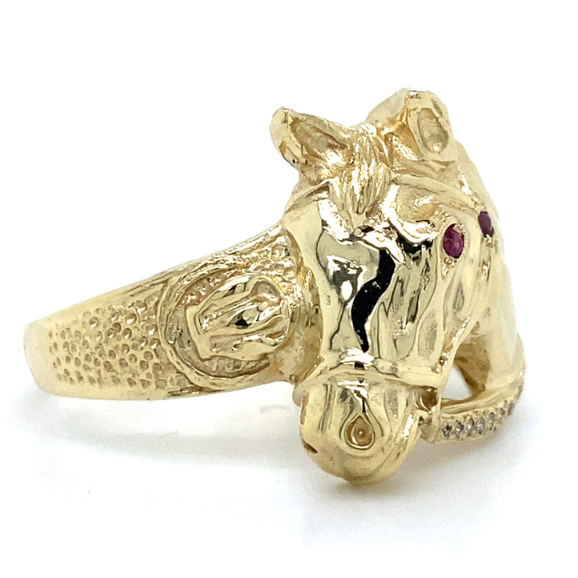 Estate Equestrian Ring