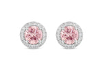 14K White Gold 2.00cttw VS Pink Diamond Earrings with Halo